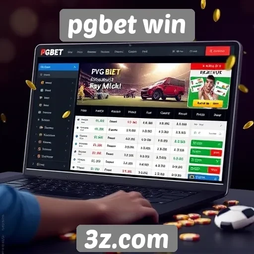 Usabilidade da interface do usuário no pgbet win